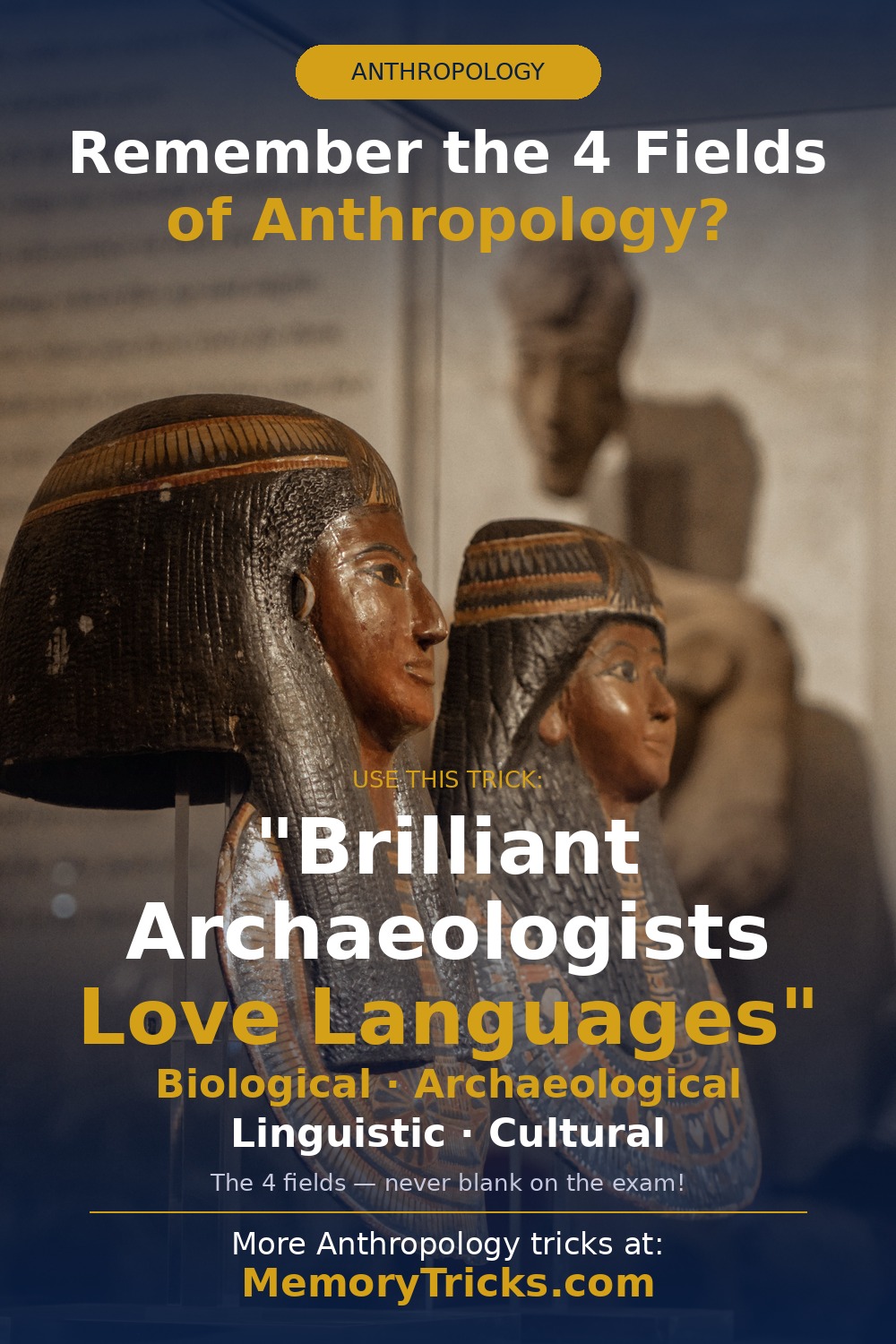 Anthropology memory trick